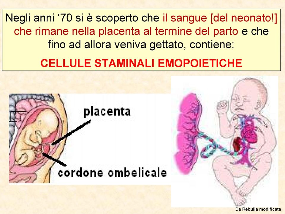 ] che rimane nella placenta al termine del parto e