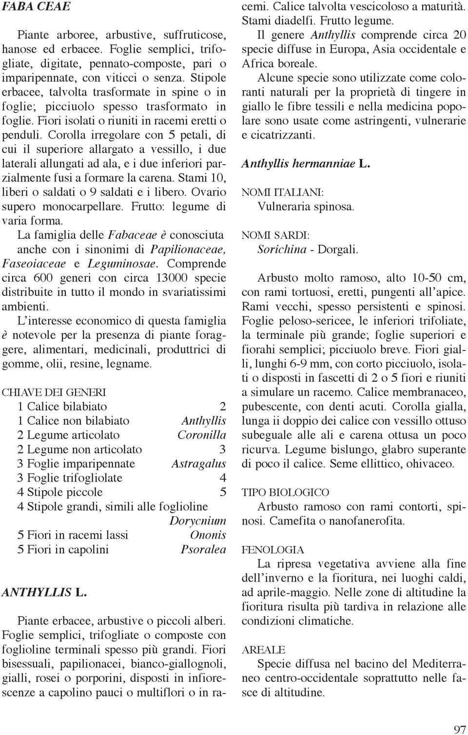 Corolla irregolare con 5 petali, di cui il superiore allargato a vessillo, i due laterali allungati ad ala, e i due inferiori parzialmente fusi a formare la carena.