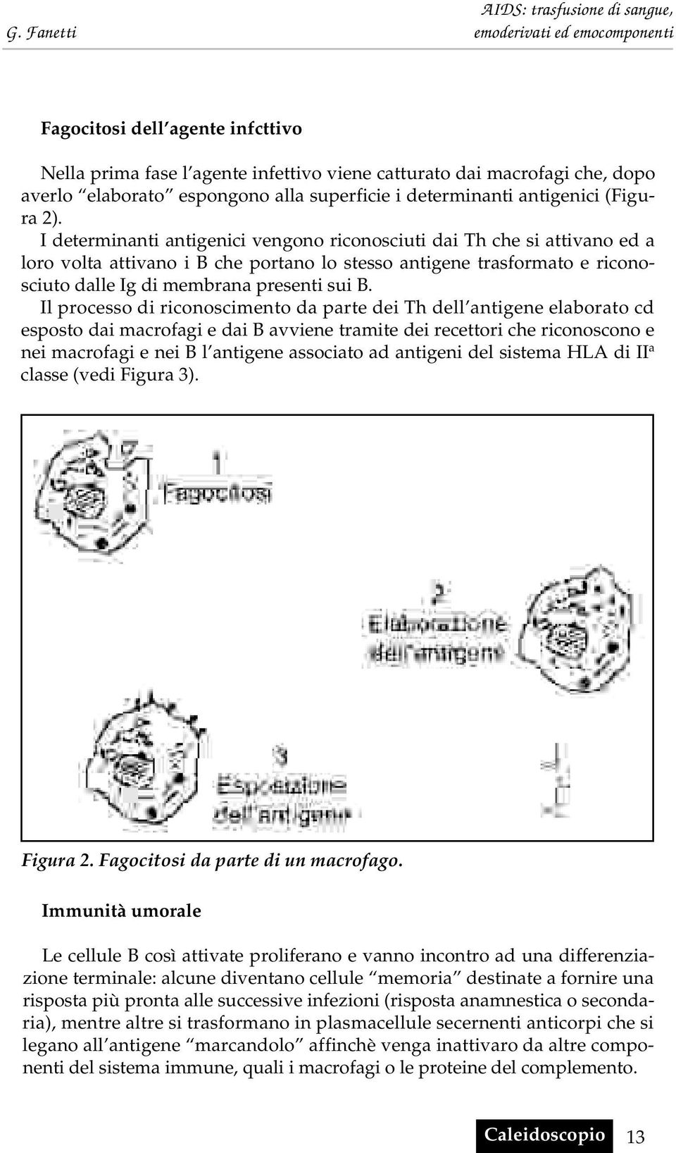 Il processo di riconoscimento da parte dei Th dell antigene elaborato cd esposto dai macrofagi e dai B avviene tramite dei recettori che riconoscono e nei macrofagi e nei B l antigene associato ad