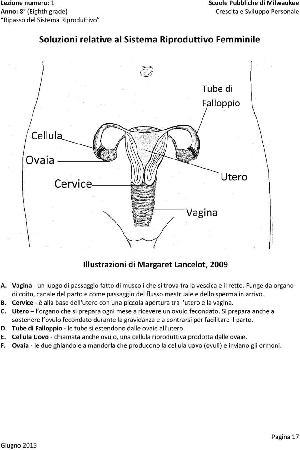 Funge da organo di coito, canale del parto e come passaggio del flusso mestruale e dello sperma in arrivo. B. Cervice - è alla base dell'utero con una piccola apertura tra l'utero e la vagina. C. Utero l organo che si prepara ogni mese a ricevere un ovulo fecondato.