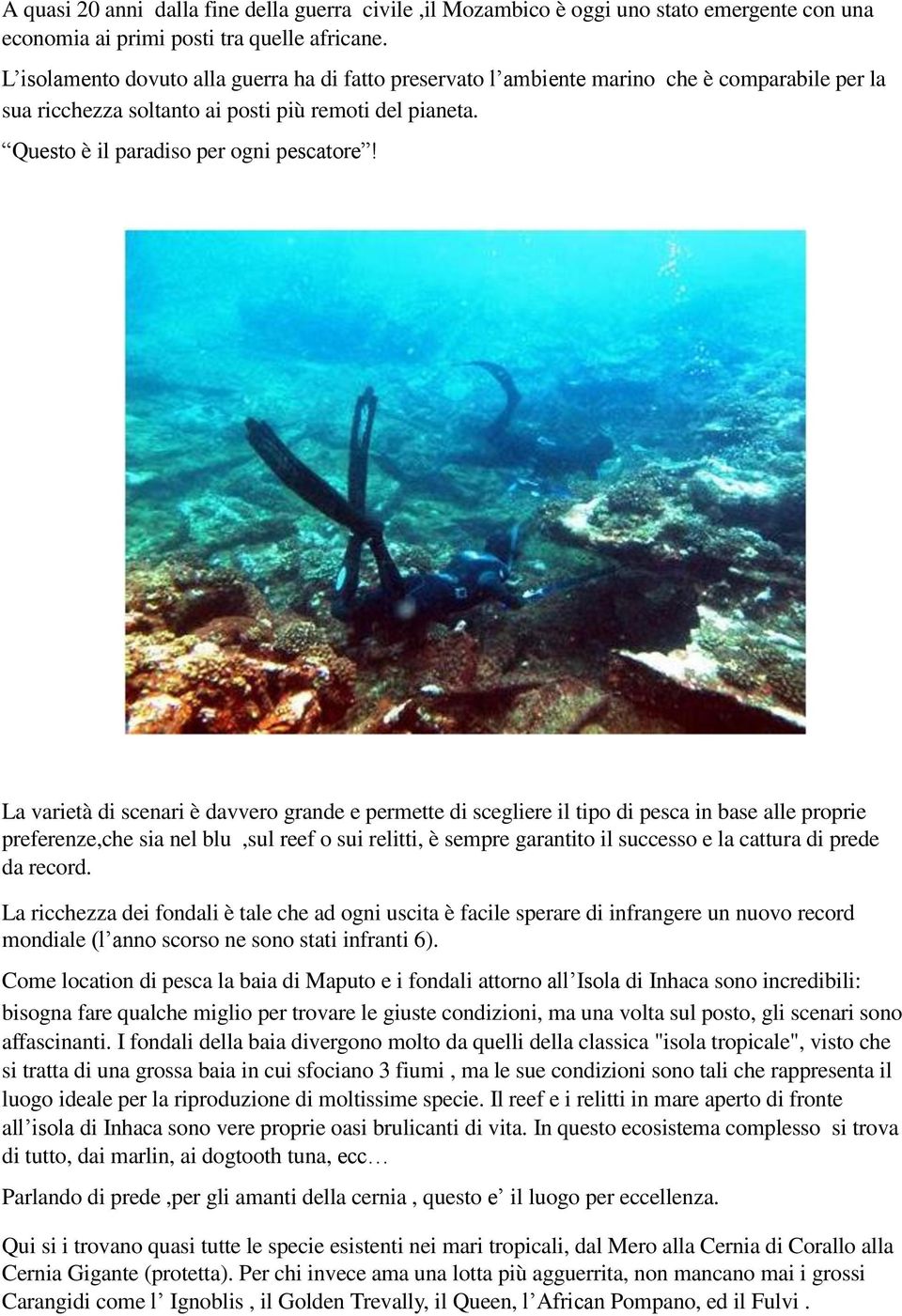 La varietà di scenari è davvero grande e permette di scegliere il tipo di pesca in base alle proprie preferenze,che sia nel blu,sul reef o sui relitti, è sempre garantito il successo e la cattura di