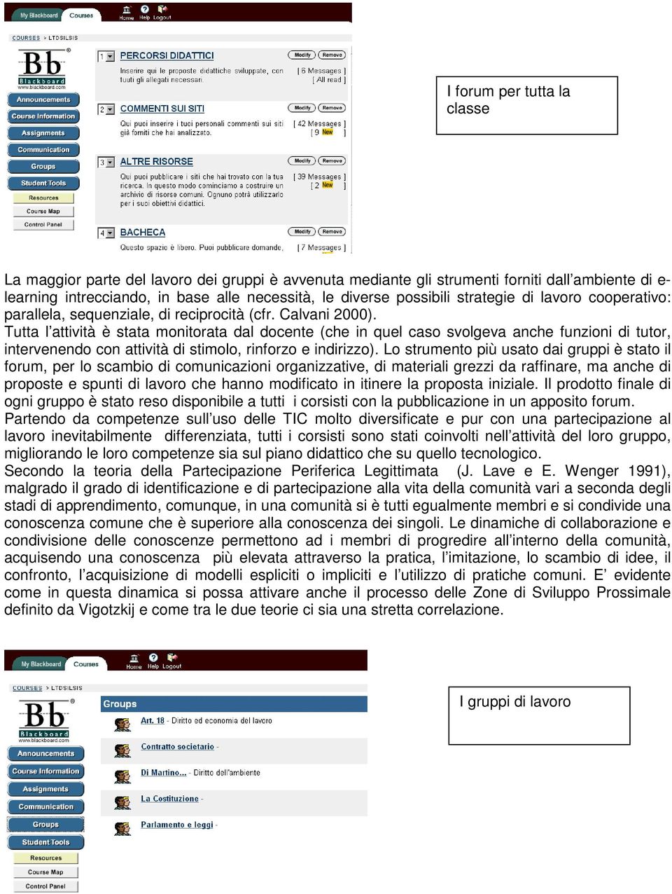 Tutta l attività è stata monitorata dal docente (che in quel caso svolgeva anche funzioni di tutor, intervenendo con attività di stimolo, rinforzo e indirizzo).