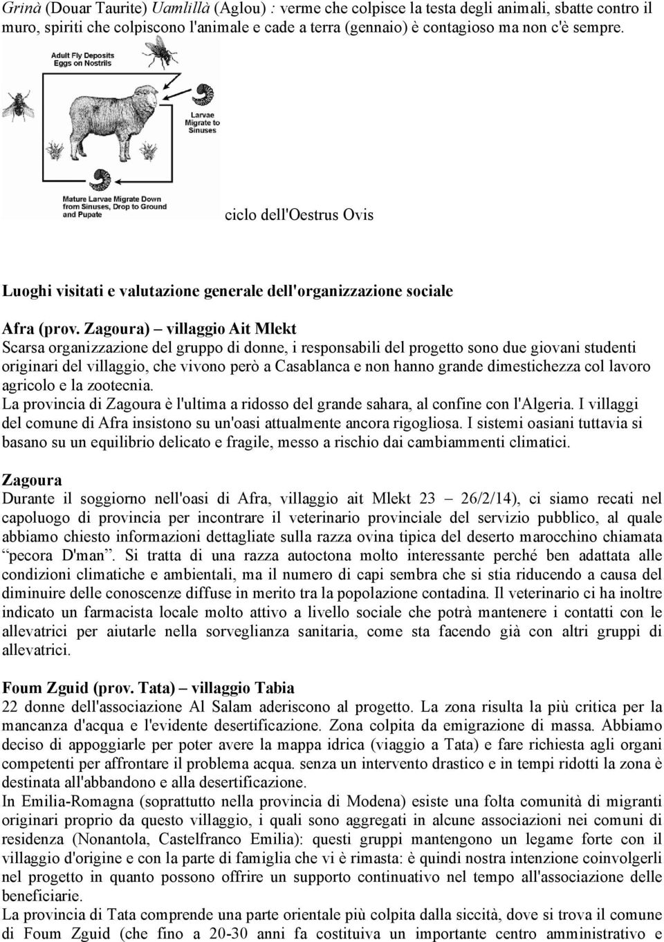 Zagoura) villaggio Ait Mlekt Scarsa organizzazione del gruppo di donne, i responsabili del progetto sono due giovani studenti originari del villaggio, che vivono però a Casablanca e non hanno grande