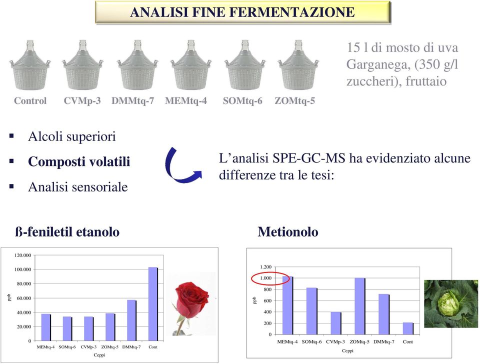 tesi: ß-feniletil etanolo Metionolo 120.000 100.000 1.200 80.000 1.000 800 ppb 60.