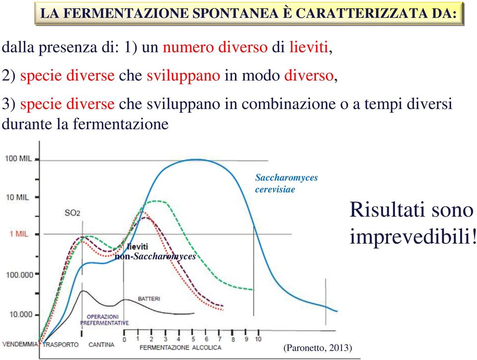 diverse che sviluppano in combinazione o a tempi diversi durante la fermentazione