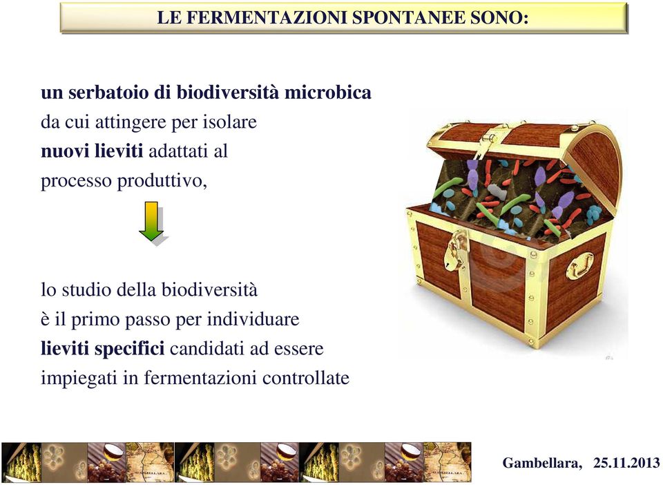 studio della biodiversità è il primo passo per individuare lieviti specifici