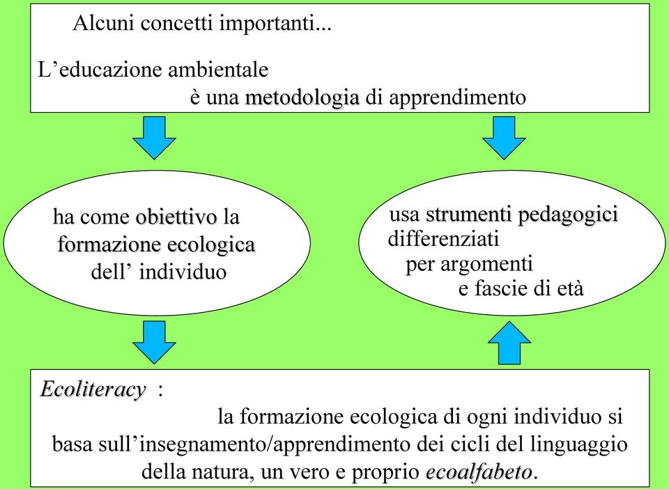 ecologica dell individuo usa strumenti pedagogici differenziati per argomenti e fascie di età