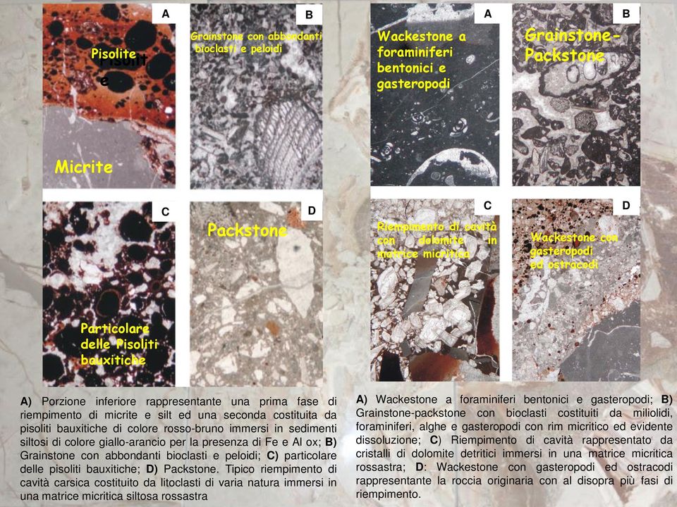 una seconda costituita da pisoliti bauxitiche di colore rosso-bruno immersi in sedimenti siltosi di colore giallo-arancio per la presenza di Fe e Al ox; B) Grainstone con abbondanti bioclasti e