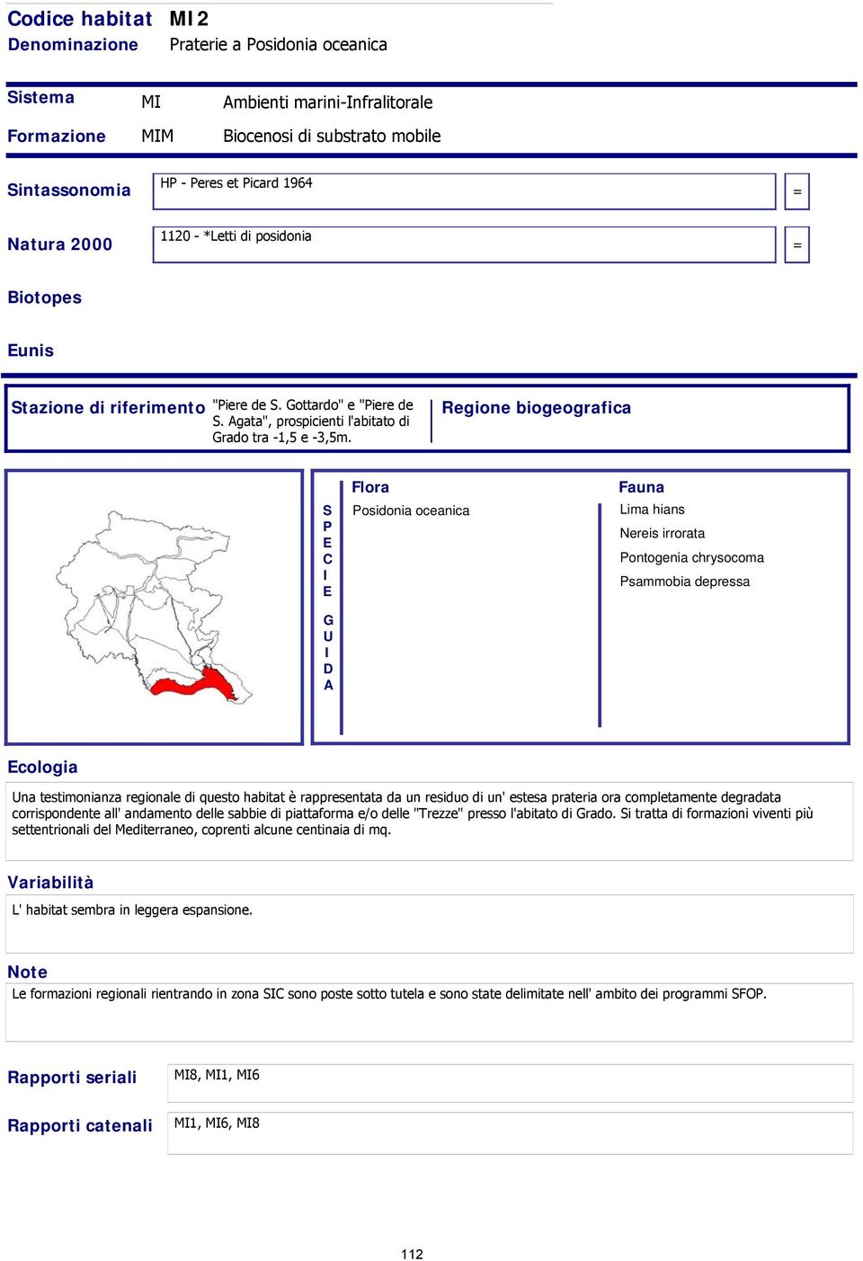 Regione biogeografica S P C G U D A Posidonia oceanica Lima hians Nereis irrorata Pontogenia chrysocoma Psammobia depressa cologia Una testimonianza regionale di questo è rappresentata da un residuo