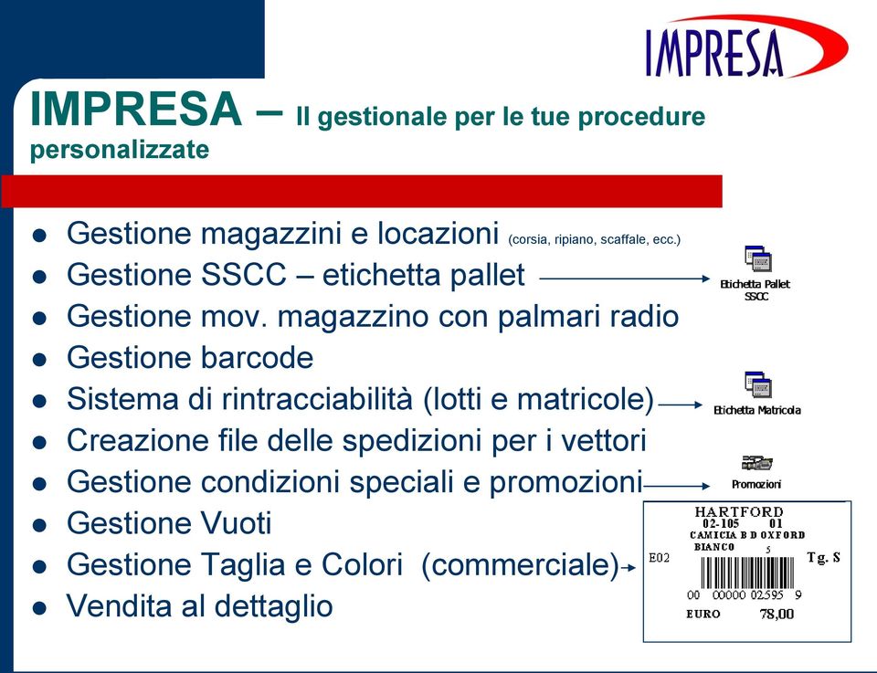 magazzino con palmari radio Gestione barcode Sistema di rintracciabilità (lotti e matricole) Creazione