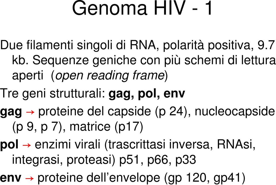 gag, pol, env gag proteine del capside (p 24), nucleocapside (p 9, p 7), matrice (p17) pol