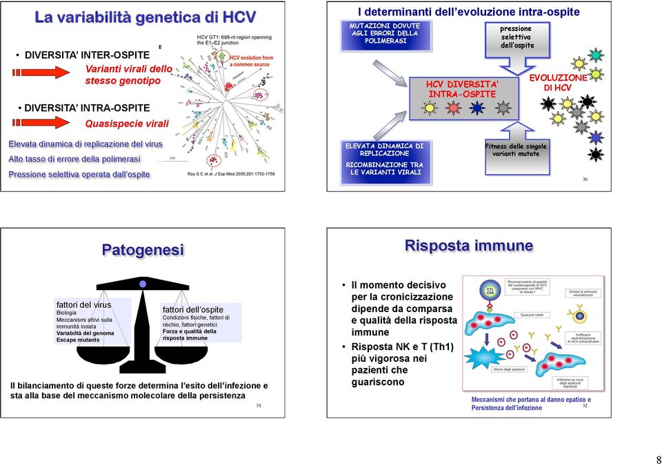 dinamica di replicazione del virus Alto tasso di errore della polimerasi Pressione selettiva operata dall ospite Ray S C et al.