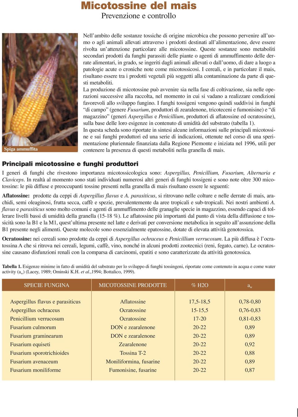 Queste sostanze sono metaboliti secondari prodotti da funghi parassiti delle piante o agenti di ammuffimento delle derrate alimentari, in grado, se ingeriti dagli animali allevati o dall uomo, di