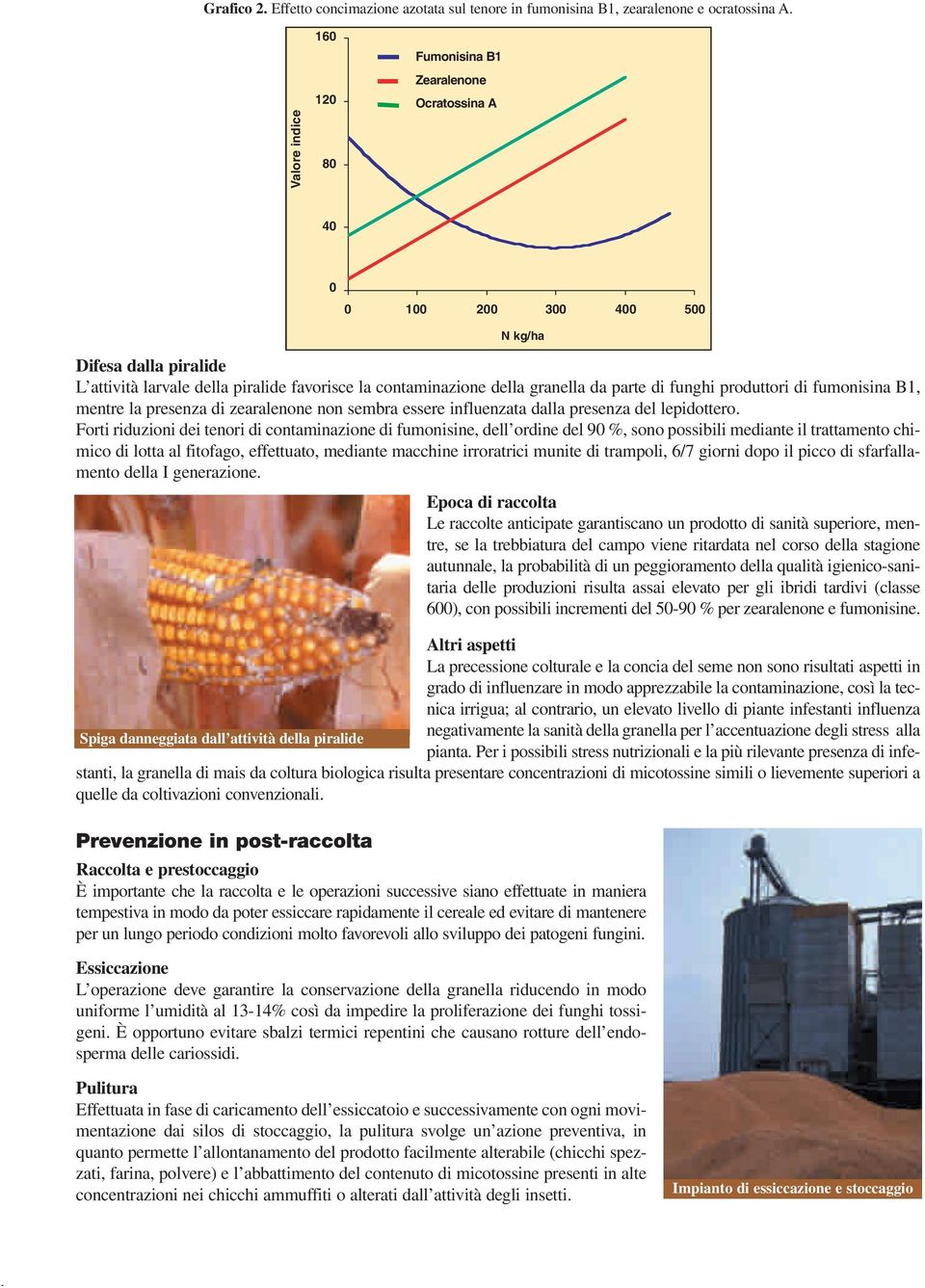 da parte di funghi produttori di fumonisina B1, mentre la presenza di zearalenone non sembra essere influenzata dalla presenza del lepidottero.