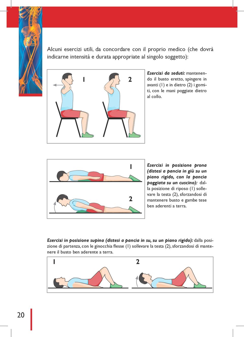 1 2 Esercizi in posizione prona (distesi a pancia in giù su un piano rigido, con la pancia poggiata su un cuscino): dalla posizione di riposo (1) sollevare la testa (2), sforzandosi