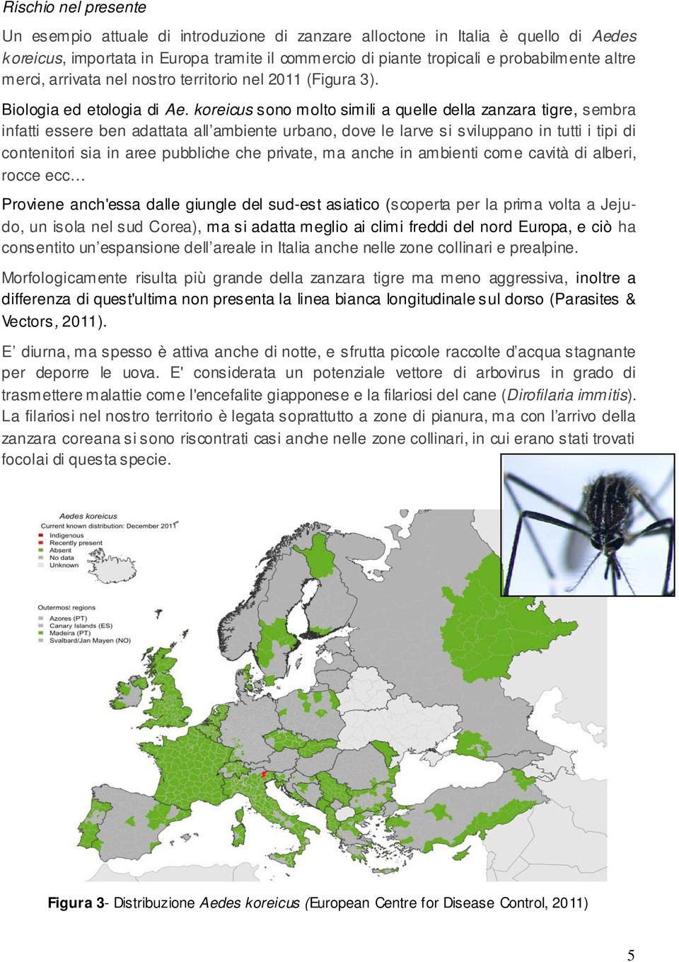 koreicus sono molto simili a quelle della zanzara tigre, sembra infatti essere ben adattata all ambiente urbano, dove le larve si sviluppano in tutti i tipi di contenitori sia in aree pubbliche che