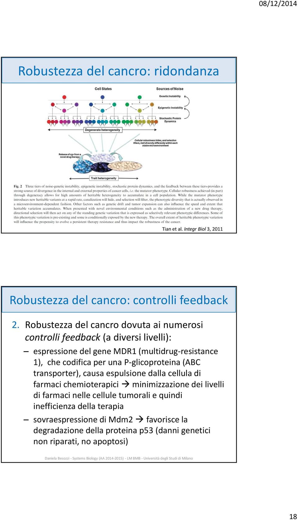 codifica per una P-glicoproteina (ABC transporter), causa espulsione dalla cellula di farmaci chemioterapici minimizzazione dei livelli di