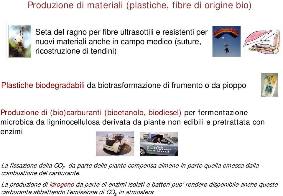 microbica da ligninocellulosa derivata da piante non edibili e pretrattata con enzimi La fissazione della CO 2 da parte delle piante compensa almeno in parte quella emessa