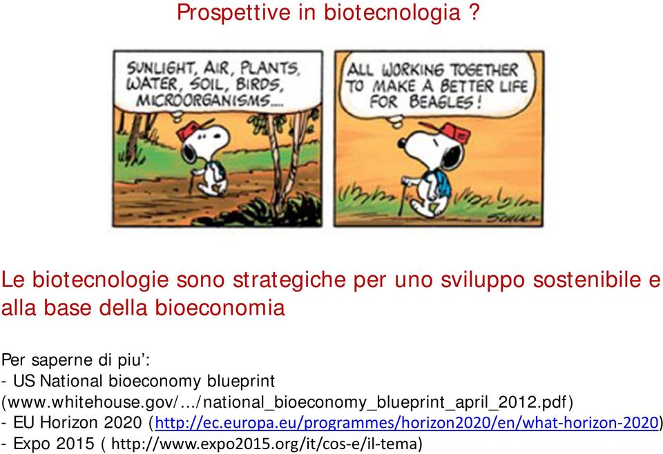 saperne di piu : - US National bioeconomy blueprint (www.whitehouse.gov/.