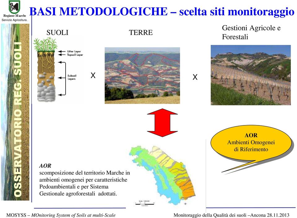 per Sistema Gestionale agroforestali adottati.