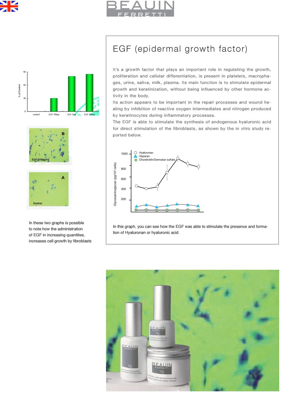 Its action appears to be important in the repair processes and wound healing by inhibition of reactive oxygen intermediates and nitrogen produced by keratinocytes during inflammatory processes.