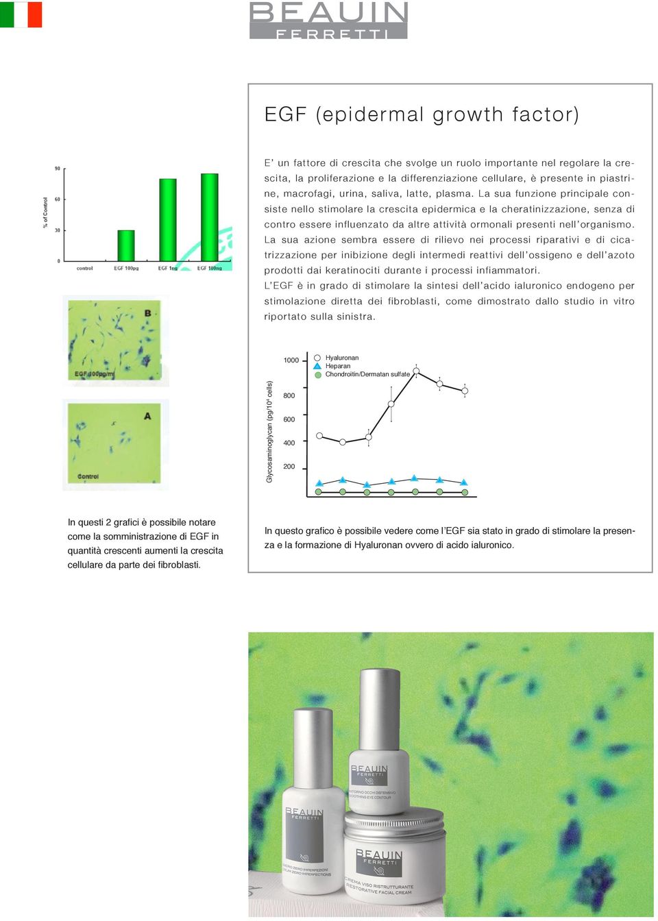 La sua funzione principale consiste nello stimolare la crescita epidermica e la cheratinizzazione, senza di contro essere influenzato da altre attività ormonali presenti nell organismo.