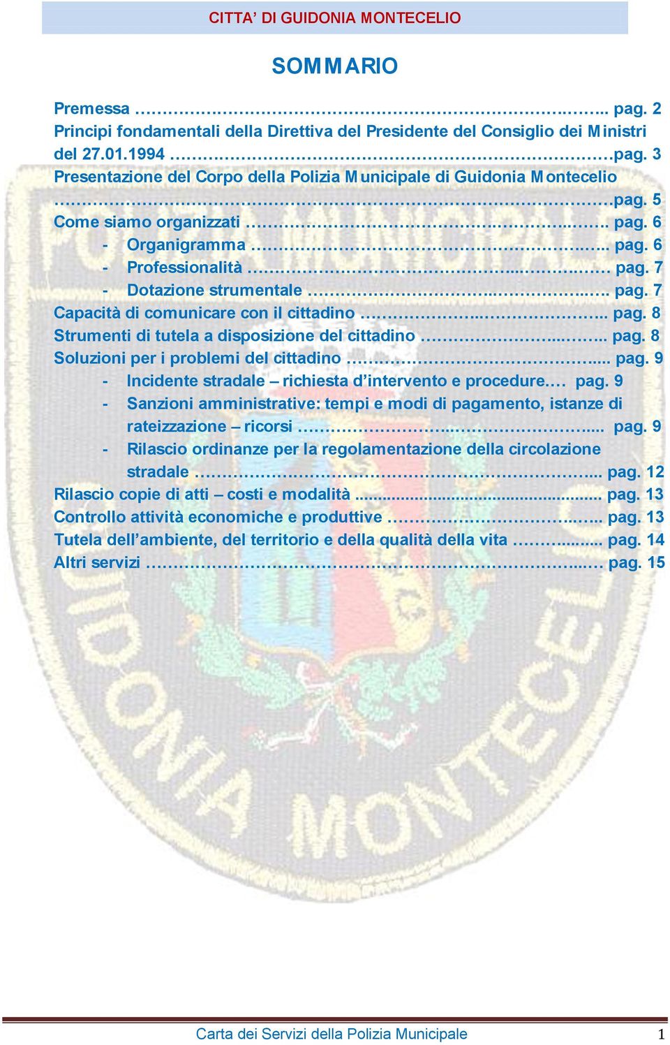 ... pag. 8 Strumenti di tutela a disposizione del cittadino..... pag. 8 Soluzioni per i problemi del cittadino... pag. 9 - Incidente stradale richiesta d intervento e procedure. pag. 9 - Sanzioni amministrative: tempi e modi di pagamento, istanze di rateizzazione ricorsi.