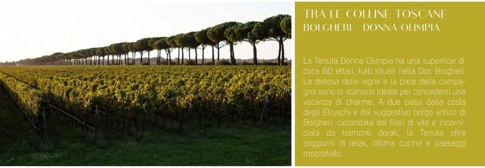 La distesa delle vigne e la pace della campagna sono lo scenario ideale per concedersi una vacanza di charme.