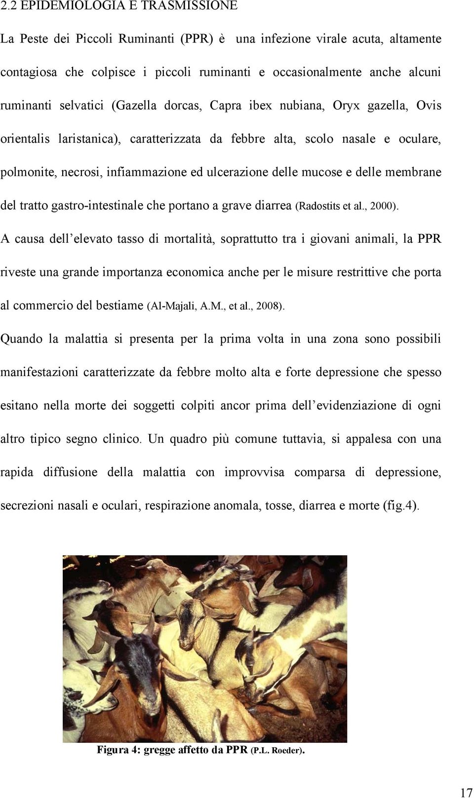 delle mucose e delle membrane del tratto gastro-intestinale che portano a grave diarrea (Radostits et al., 2000).