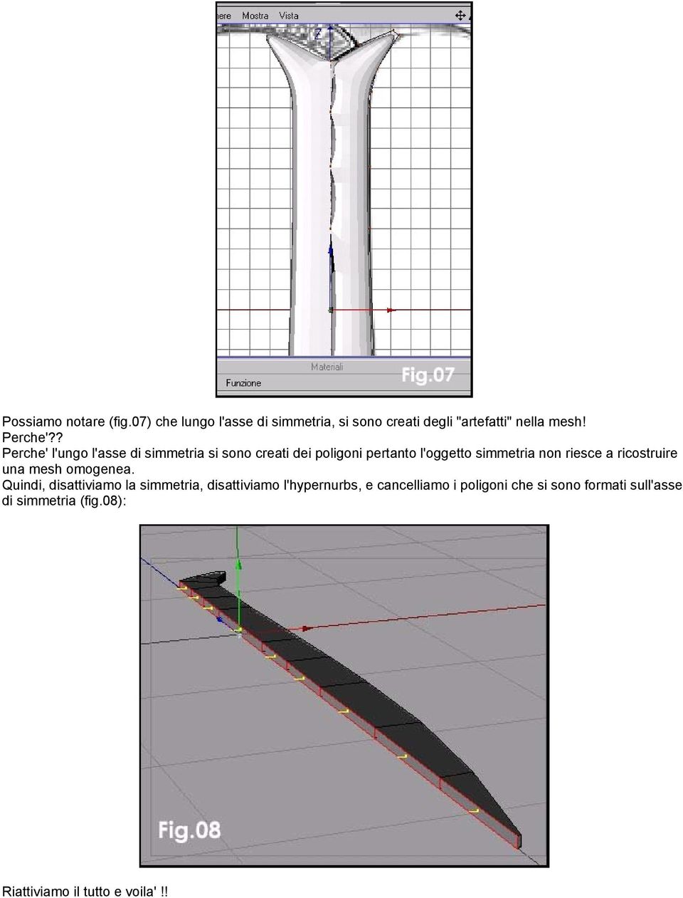 ? Perche' l'ungo l'asse di simmetria si sono creati dei poligoni pertanto l'oggetto simmetria non riesce