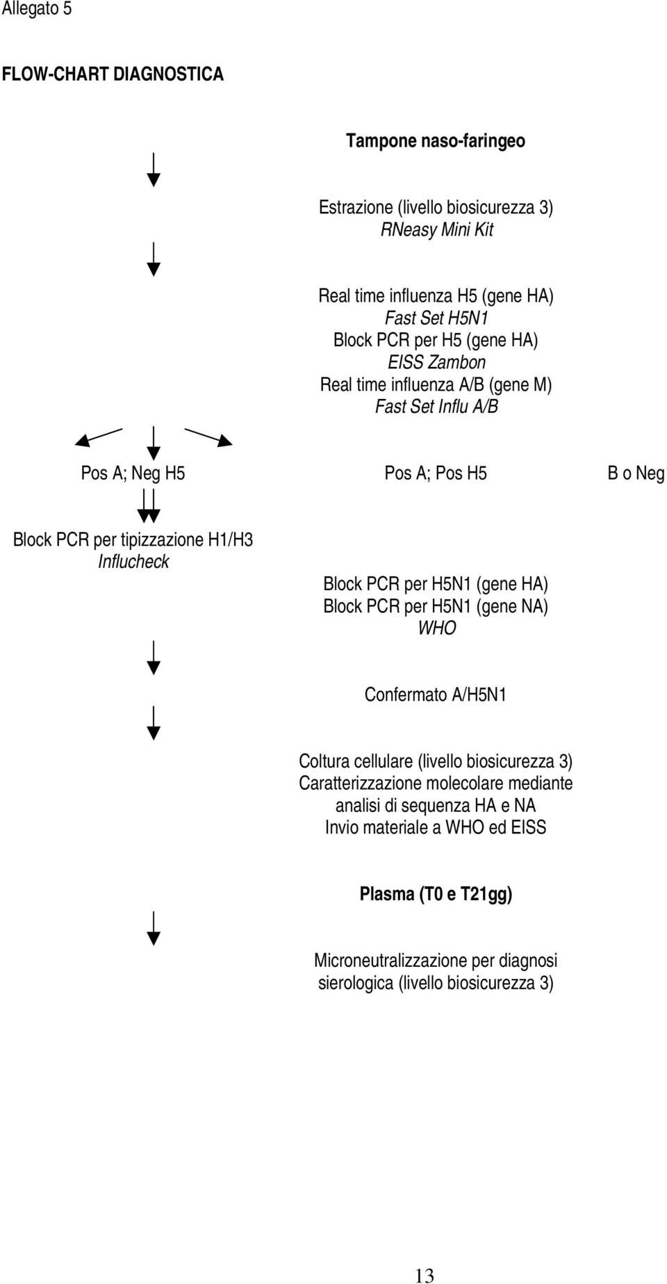 Influcheck Block PCR per H5N1 (gene HA) Block PCR per H5N1 (gene NA) WHO Confermato A/H5N1 Coltura cellulare (livello biosicurezza 3) Caratterizzazione