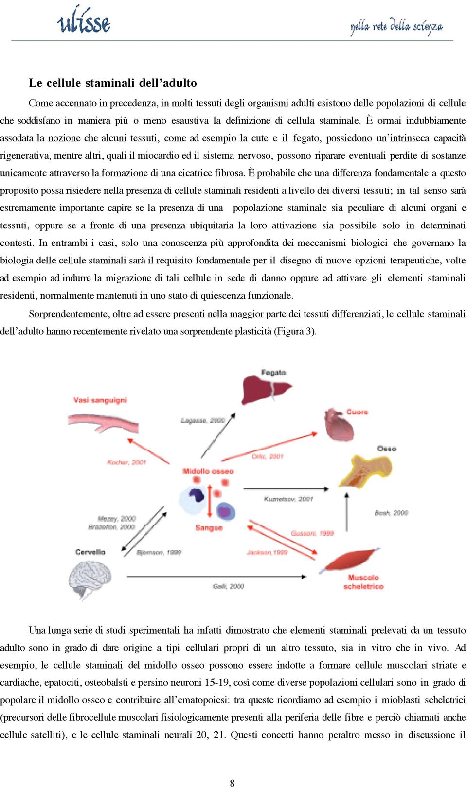 È ormai indubbiamente assodata la nozione che alcuni tessuti, come ad esempio la cute e il fegato, possiedono un intrinseca capacità rigenerativa, mentre altri, quali il miocardio ed il sistema