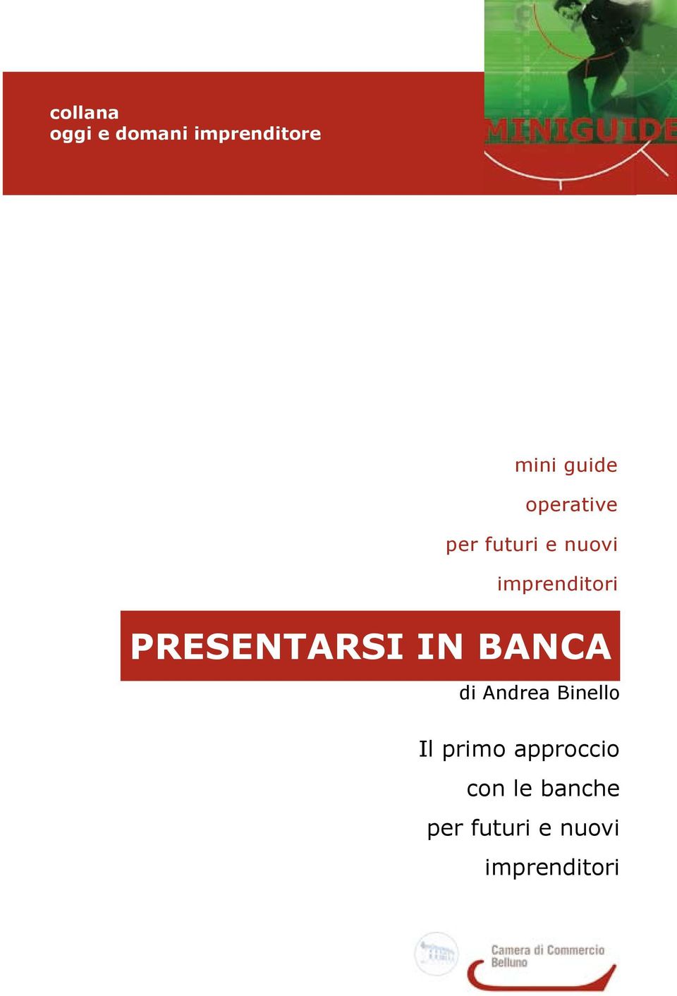 PRESENTARSI IN BANCA di Andrea Binello Il primo