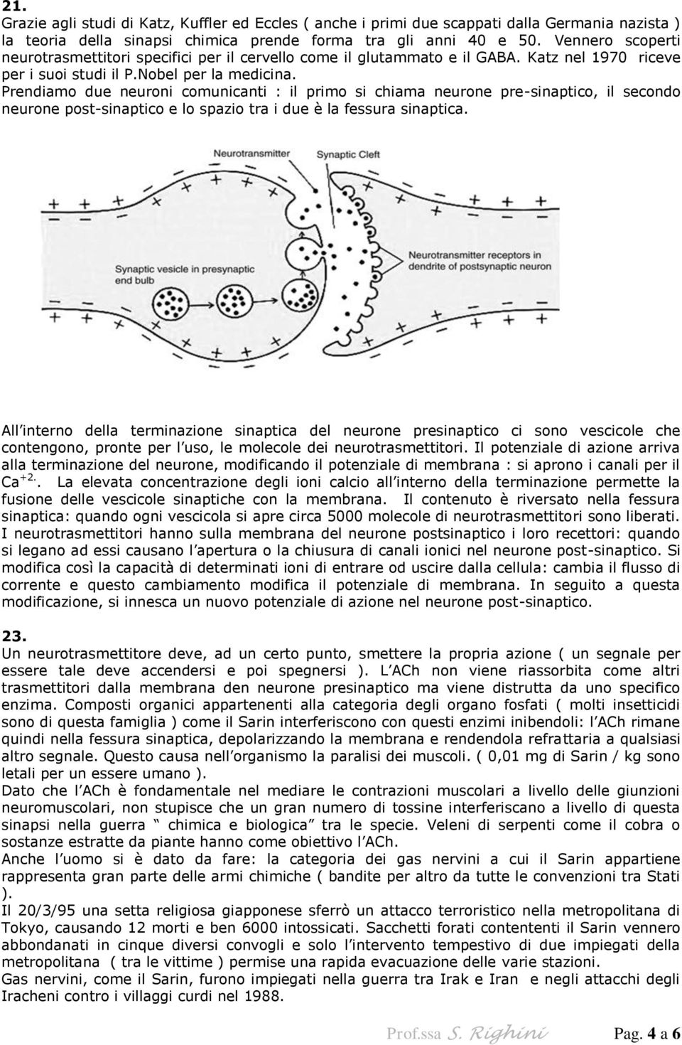 Prendiamo due neuroni comunicanti : il primo si chiama neurone pre-sinaptico, il secondo neurone post-sinaptico e lo spazio tra i due è la fessura sinaptica.