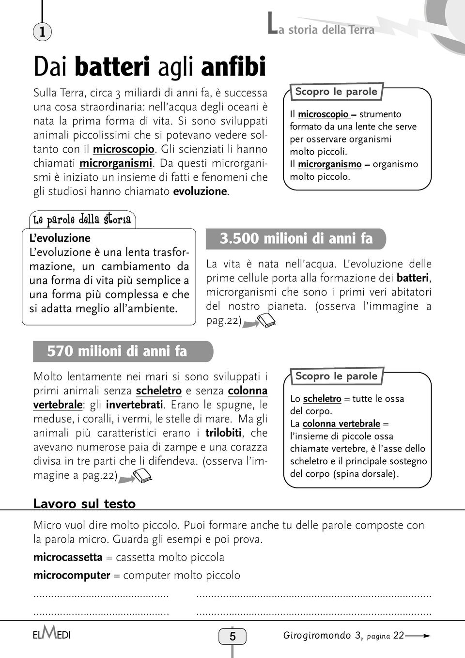 Da questi microrganismi è iniziato un insieme di fatti e fenomeni che gli studiosi hanno chiamato evoluzione.