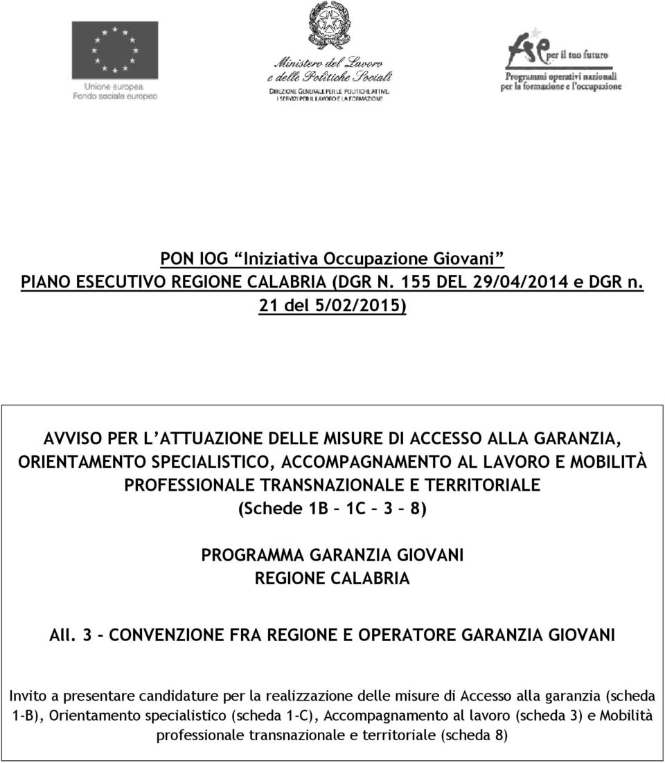 TRANSNAZIONALE E TERRITORIALE (Schede 1B 1C 3 8) PROGRAMMA GARANZIA GIOVANI REGIONE CALABRIA All.