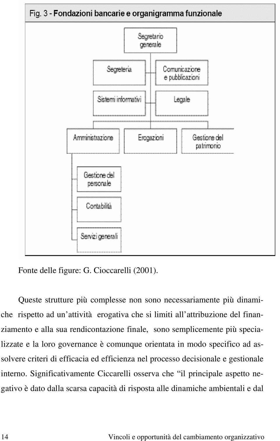 alla sua rendicontazione finale, sono semplicemente più specializzate e la loro governance è comunque orientata in modo specifico ad assolvere criteri di