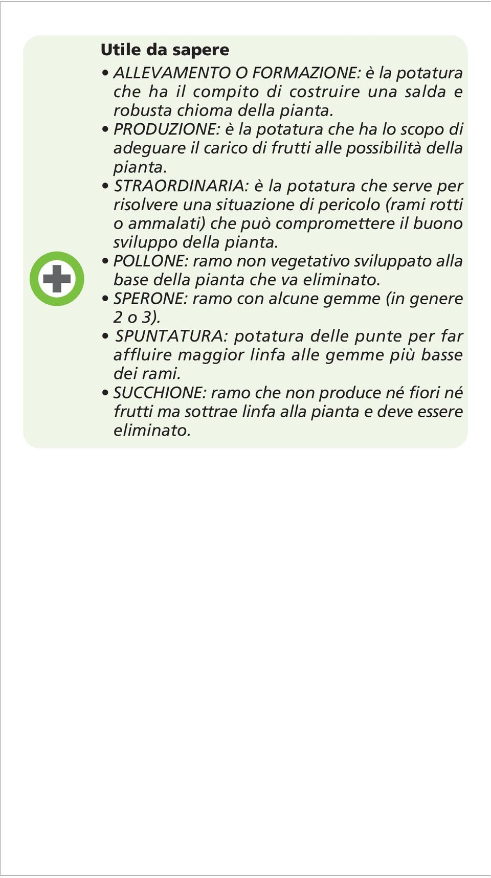 STRAORDINARIA: è la potatura che serve per risolvere una situazione di pericolo (rami rotti o ammalati) che può compromettere il buono sviluppo della pianta.