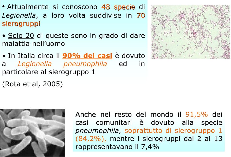 sierogruppo 1 (Rota et al, 2005) Anche nel resto del mondo Anche nel resto del mondo il 91,5% dei casi comunitari è