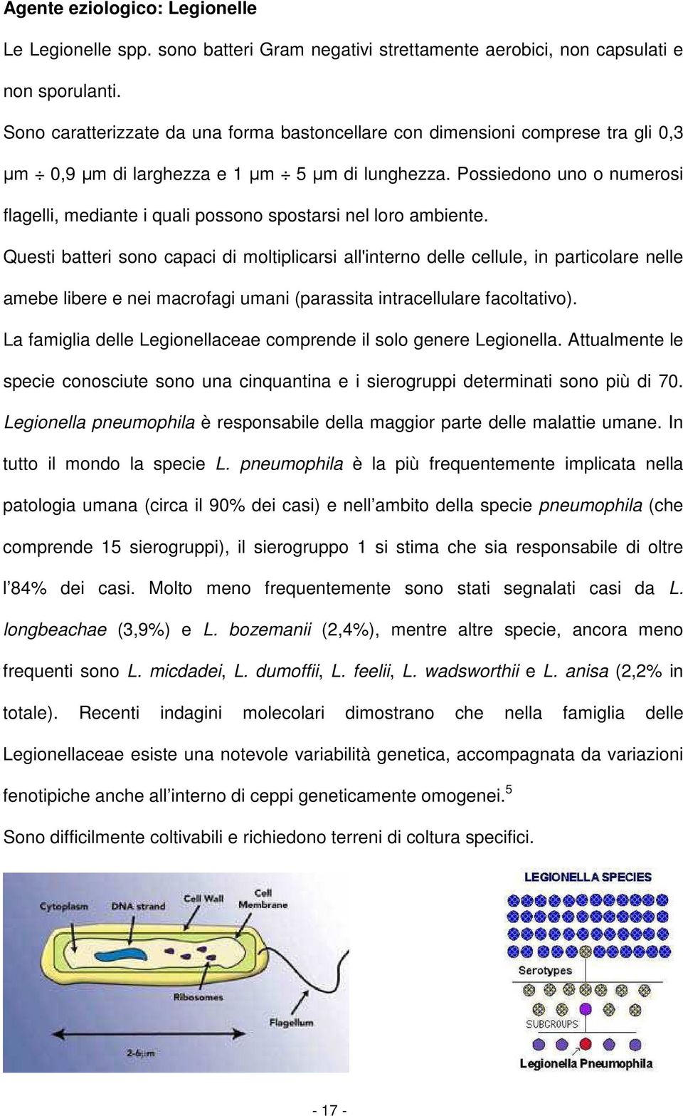 Possiedono uno o numerosi flagelli, mediante i quali possono spostarsi nel loro ambiente.