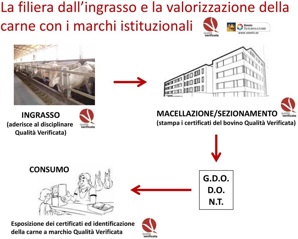 MACELLAZIONE/SEZIONAMENTO (stampa i certificati del bovino Qualità Verificata)