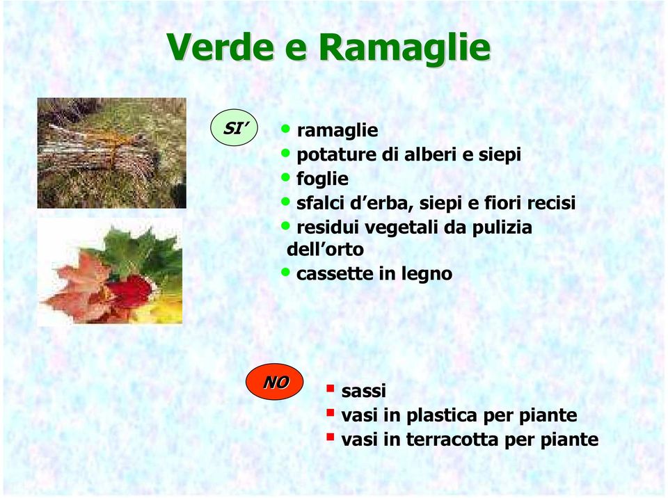 vegetali da pulizia dell orto cassette in legno NO