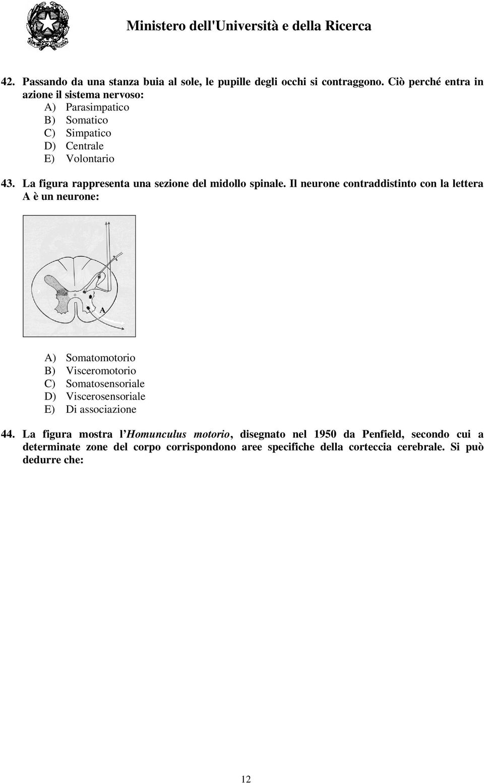 La figura rappresenta una sezione del midollo spinale.