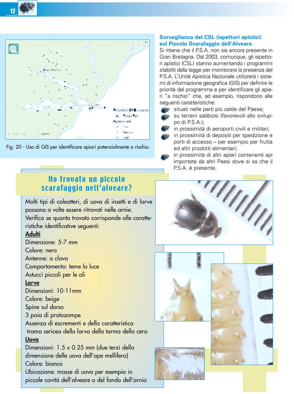 Dal 2003, comunque, gli ispettori apistici (CSL) stanno aumentando i programmi stabiliti dalla legge per monitorare la presenza del P.S.A.