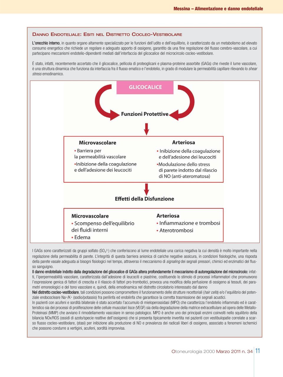 cui partecipano meccanismi endotelio-dipendenti mediati dall interfaccia del glicocalice del microcircolo cocleo-vestibolare.