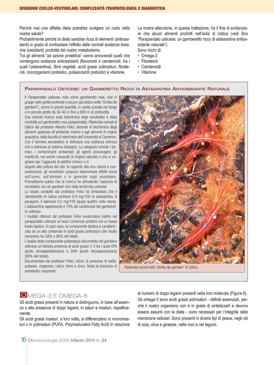 Tra gli alimenti ad azione protettiva vanno annoverati quelli che contengono sostanze antiossidanti (flavonoidi e carotenoidi, tra i quali l astaxantina), fibre vegetali, acidi grassi polinsaturi,