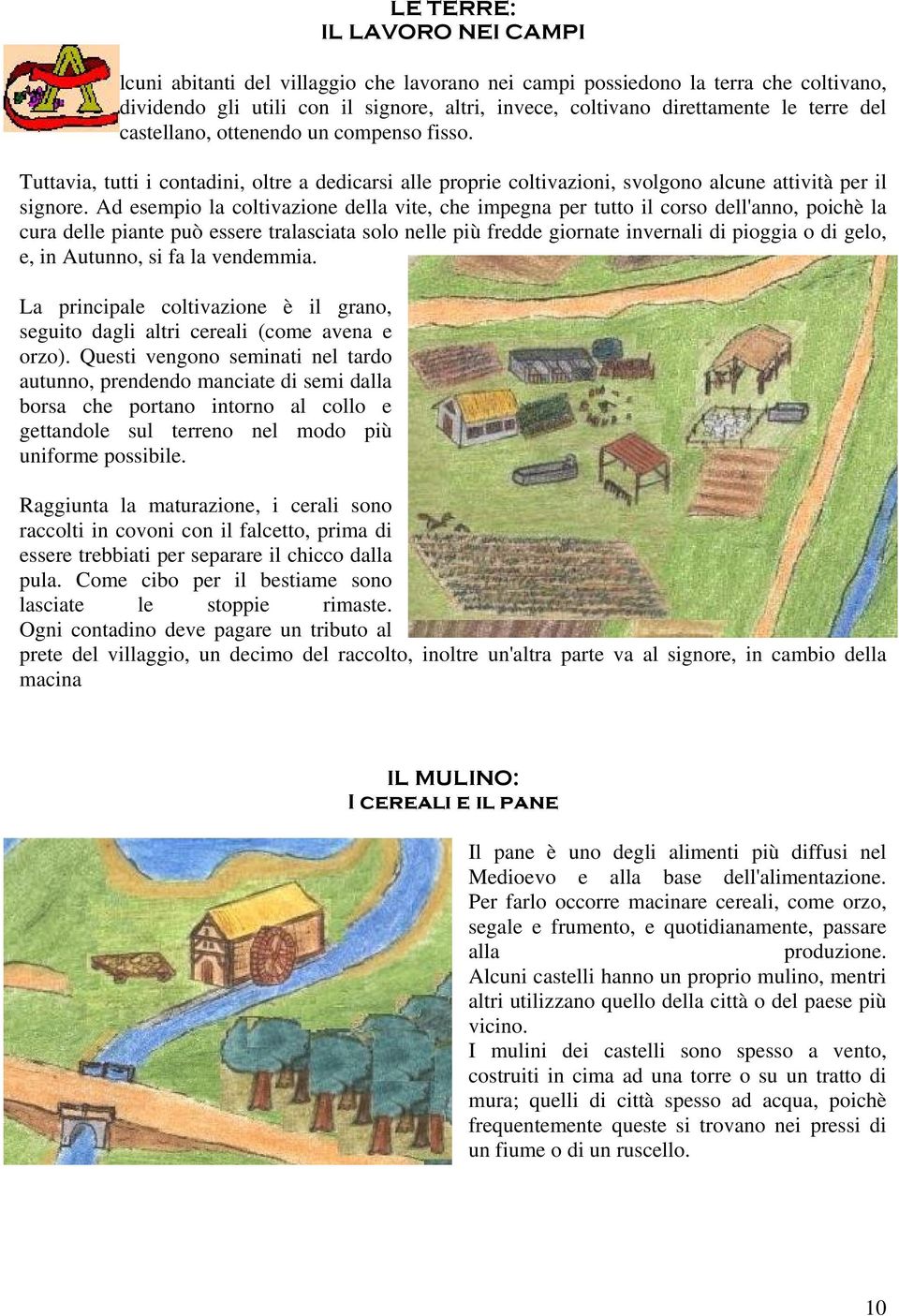 Ad esempio la coltivazione della vite, che impegna per tutto il corso dell'anno, poichè la cura delle piante può essere tralasciata solo nelle più fredde giornate invernali di pioggia o di gelo, e,