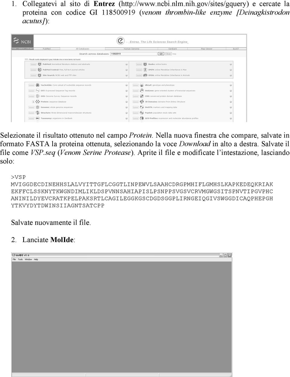 Nella nuova finestra che compare, salvate in formato FASTA la proteina ottenuta, selezionando la voce Download in alto a destra. Salvate il file come VSP.seq (Venom Serine Protease).