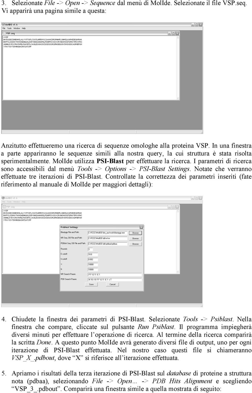 In una finestra a parte appariranno le sequenze simili alla nostra query, la cui struttura è stata risolta sperimentalmente. MolIde utilizza PSI-Blast per effettuare la ricerca.