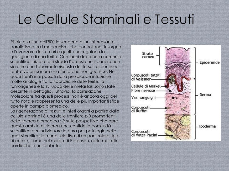 Cent'anni dopo nella comunità scientifica inizia a farsi strada l'ipotesi che il cancro non sia altro che l'aberrante risposta dei tessuti al continuo tentativo di risanare una ferita che non